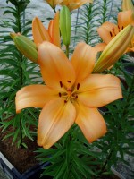 [1708 Riverside VH No01.JPG]